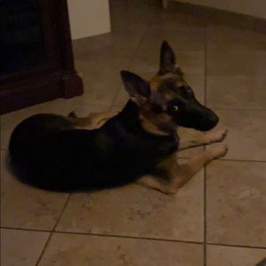 Meet your Posher, Kelly